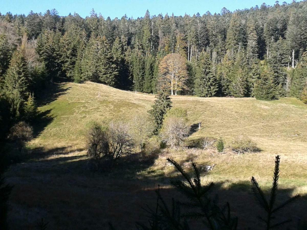 Appartamento La Mansarde De Clo *